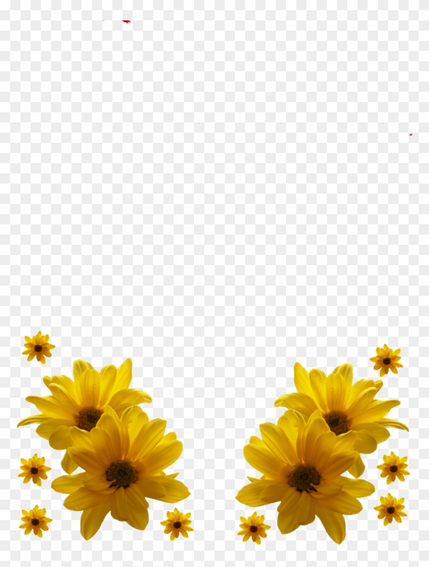 Flower Frames Png Flower Frame Png By - Yellow Flowers Png Hd #670359