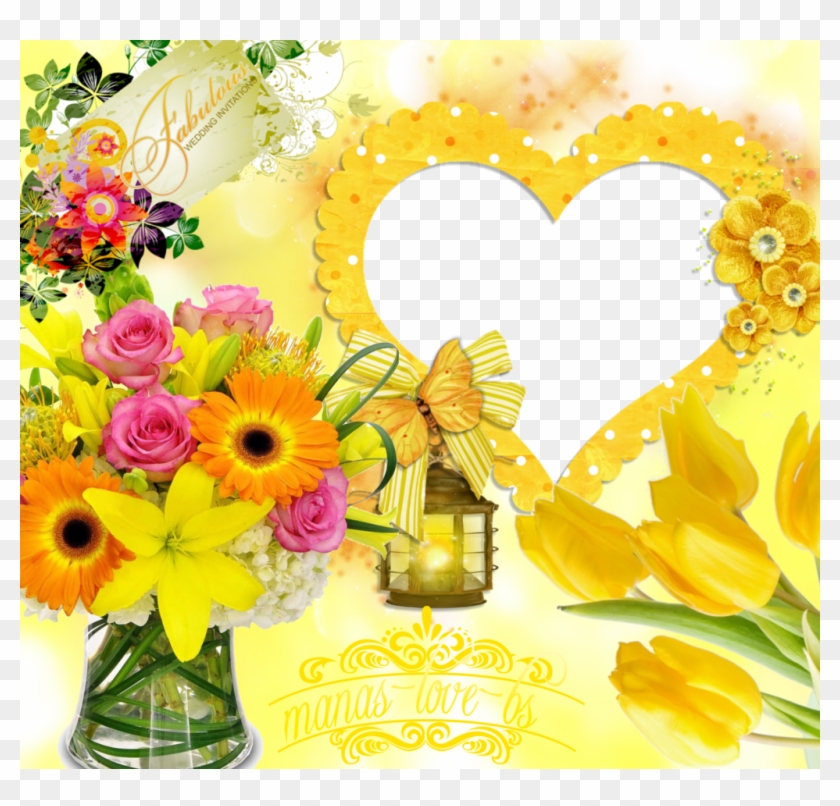 Gautamdas1992 Frames By Gautam~02 By Gautamdas1992 - Xinhuaya 100pcs Tulips Seed Flower Seeds Bonsai Plants #670365