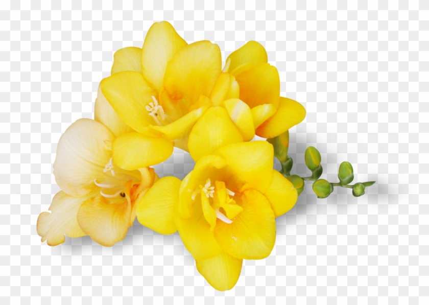 Avital Springblessingsel20 - Artificial Flower #670416