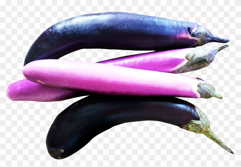 Eggplants - Plante Aubergine Clipart Transparent #670483