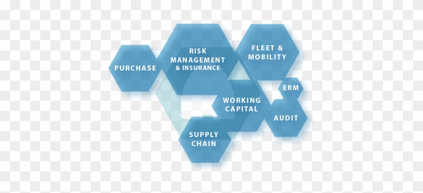 Purchase, Supply Chain & Fleet And Mobility Management - Chamaral #670497