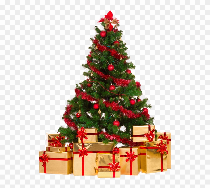 Sapins De Noel,tubes Sapins - Nicexmas Christmas Tree Storage Bag Jumbo Storage Bags #670640