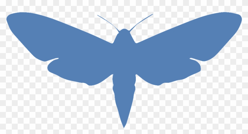 Moth Logo V2 - Physics #670926
