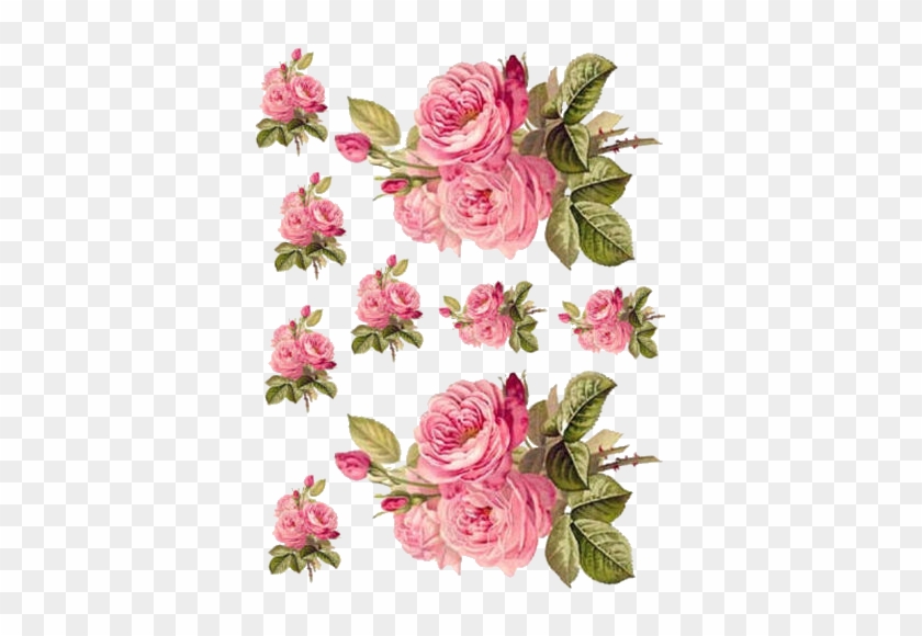 Charming Redoute Roses Shabby Waterslide Decals *furniture - Rose Decoupage Paper #671161