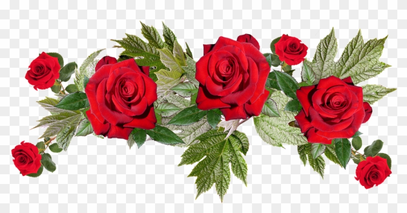 Roses, Red, Flower, Arrangement, Anniversary, Bouquet - Flower #671245
