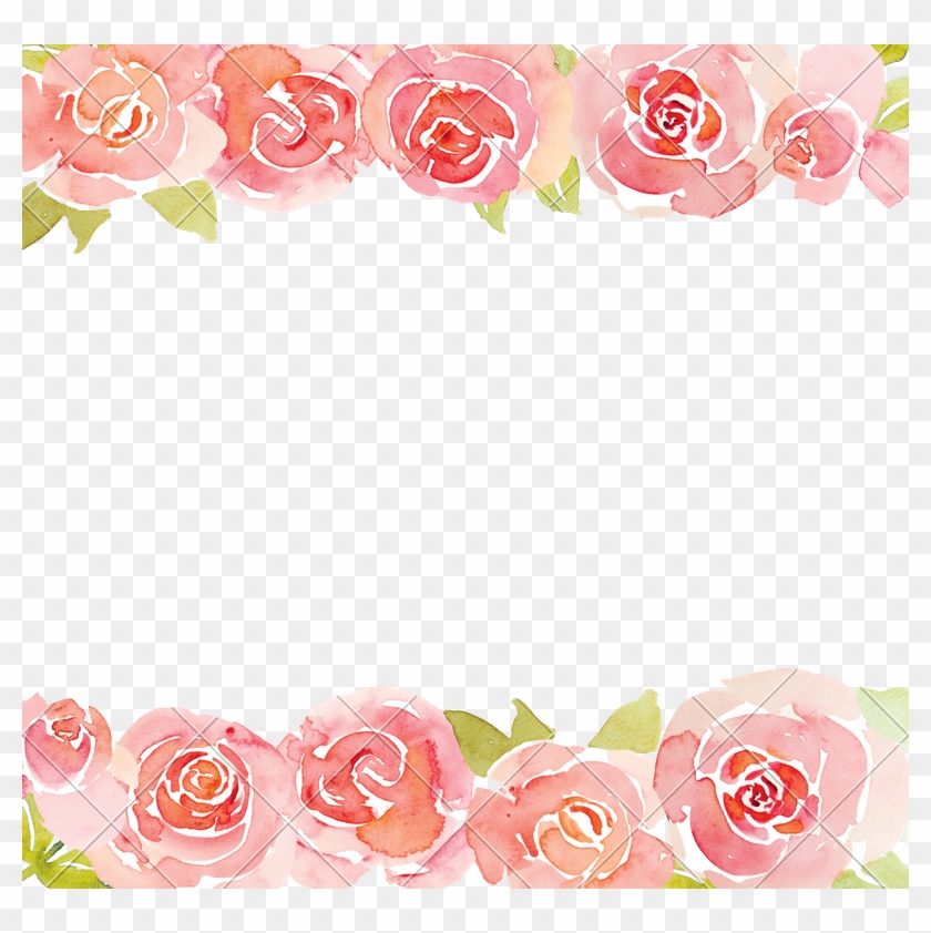 Pink Roses Watercolor - Pink Roses Watercolor #671281