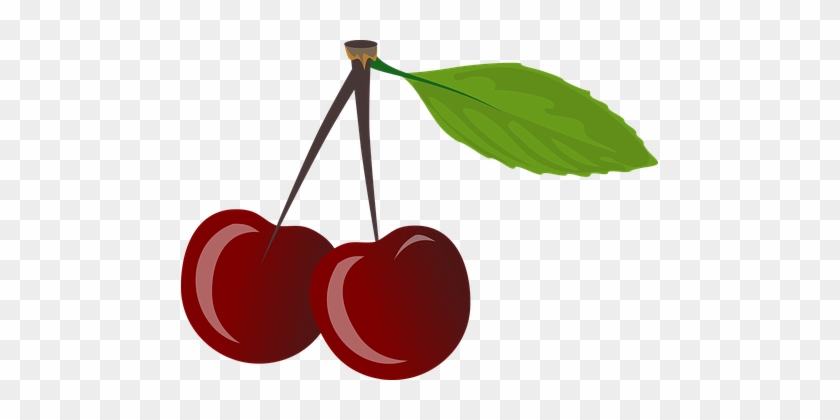 Brace Cherries Cherry Food Leaf Pair Red R - Cherries Clipart #671412