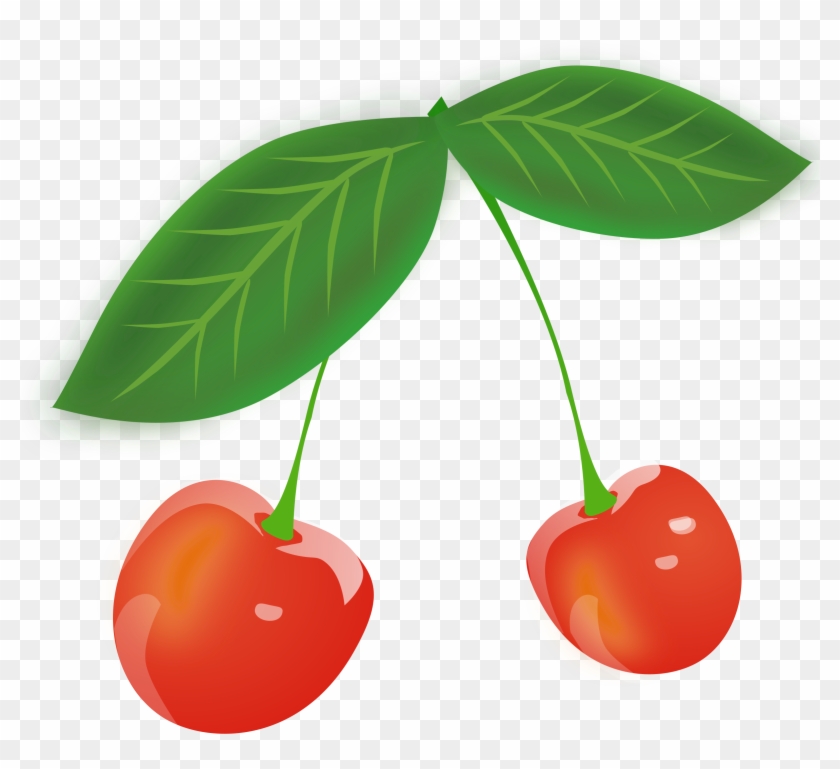 Cherry - Gambar Buah Cherry Merah #671418