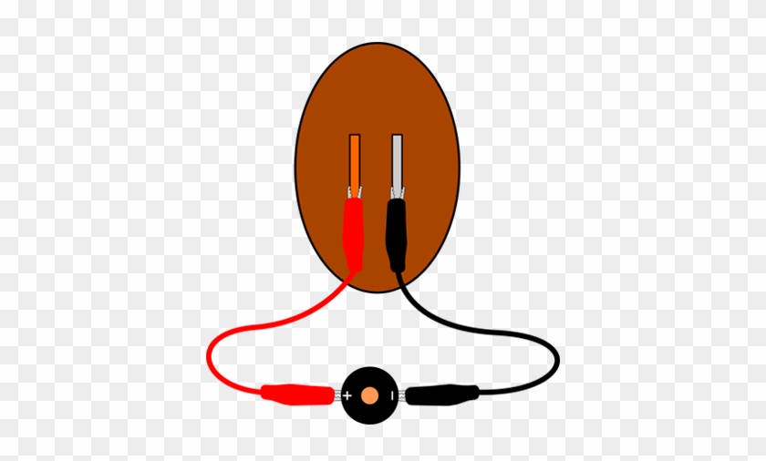 Potato Battery Piezo Buzzer Veggie Power Buzzer - Buzzer #671449