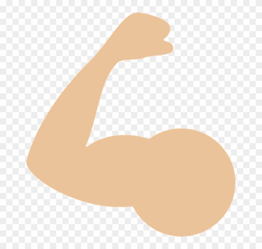 Muscle - Muscle Vector Png #671627