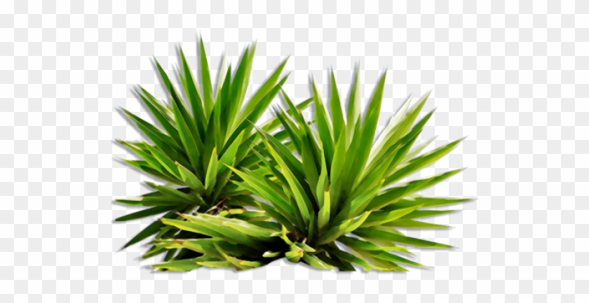 You Might Also Like - Png Plants For Photoshop #671650