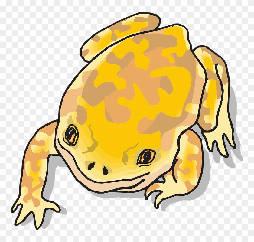 Yellow Cartoon Frog #671873
