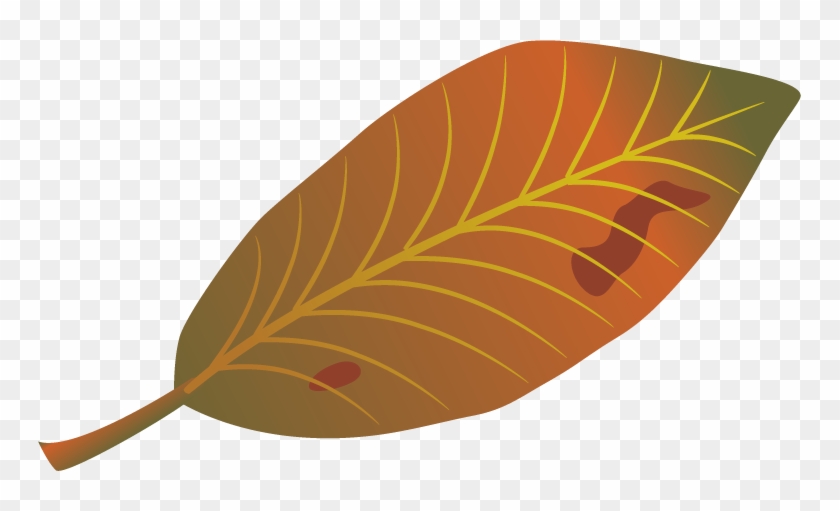 Leaf Autumn Clip Art - Euclidean Vector #672229
