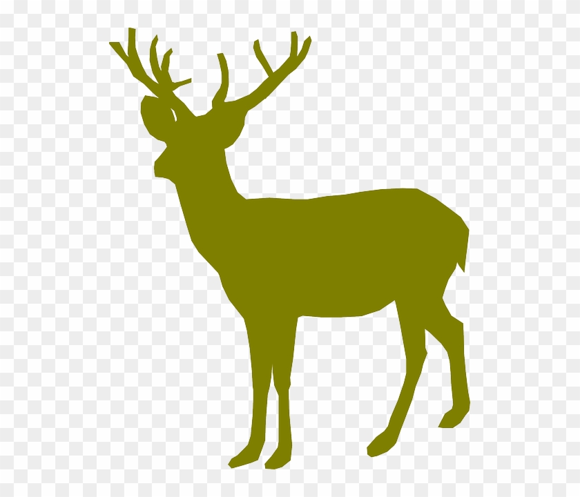 Free - Free Hunting Svg Files #672301