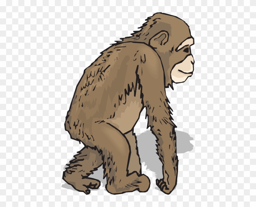 Walking Chimp Clip Art - Affe Zum Ausmalen #672545