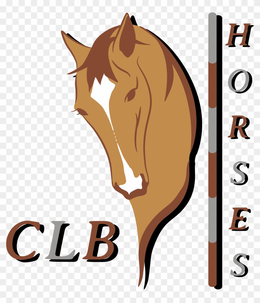 Clb Horses - La Passione - - Mane #672654