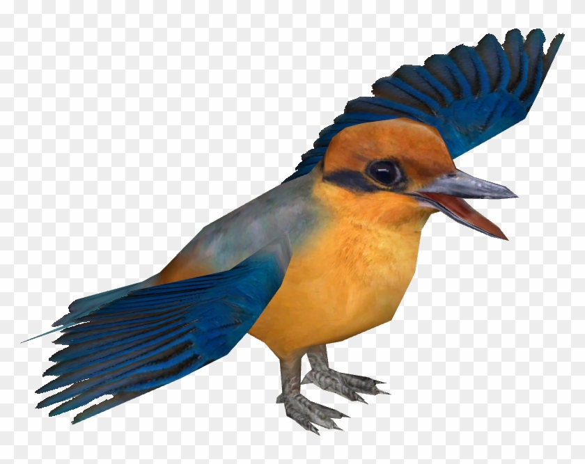 Micronesian Kingfisher - Micronesian Kingfisher #673442