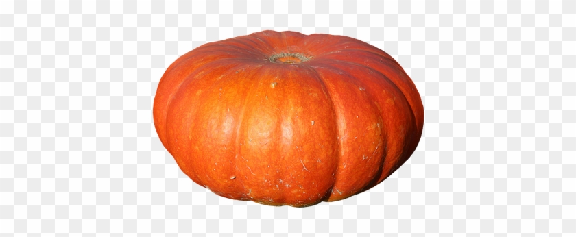 Pumpkin, Fruit, Orange, Autumn, Cucurbita Maxima - Pumpkin #673456
