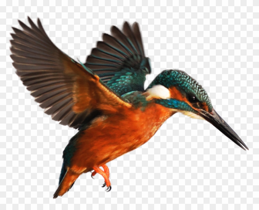 Swimming Lessons, Glasgow - Swimming Lessons, Glasgow #673487