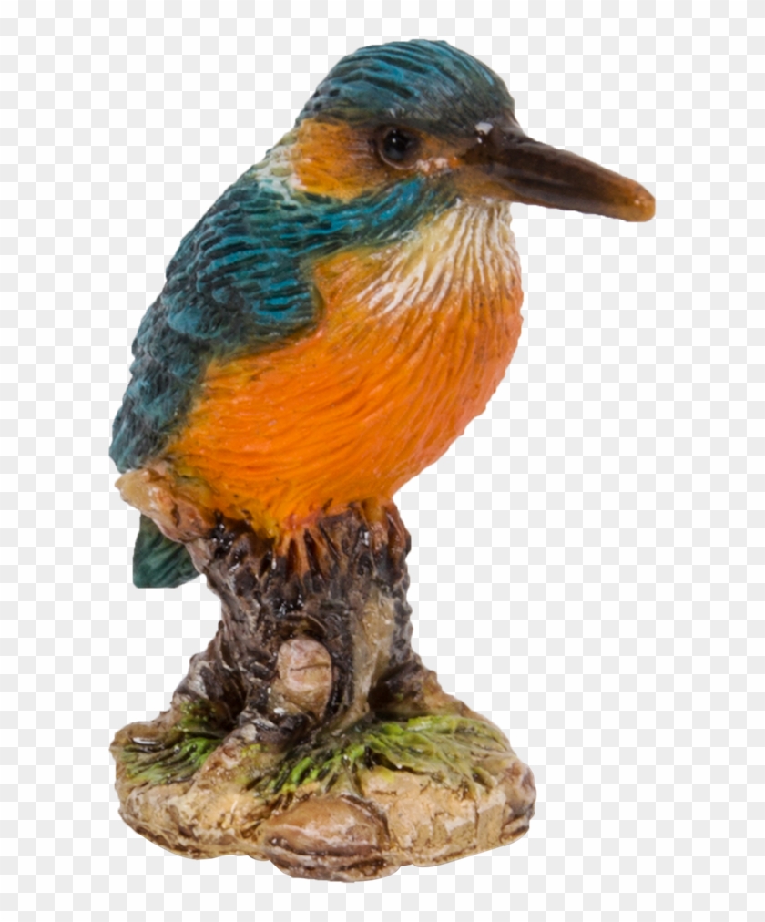 Kingfisher - Kingfisher #673562