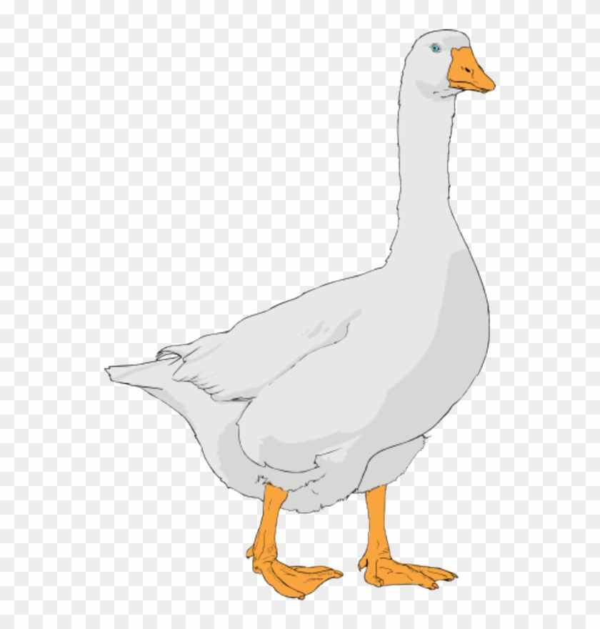 167 × 240 Pixels - Clip Art Goose #673637