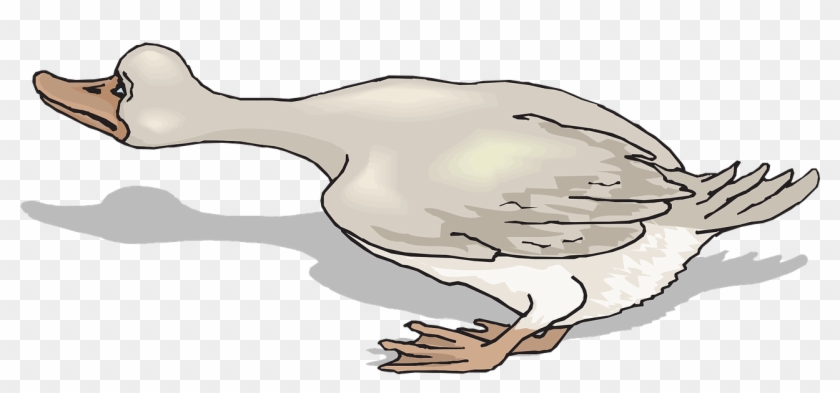 Duck Goose Clip Art - Duck Goose Clip Art #673738