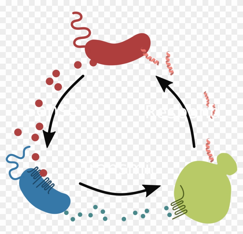 Advantages Of The Consortium Solution - Advantages Of The Consortium Solution #673865