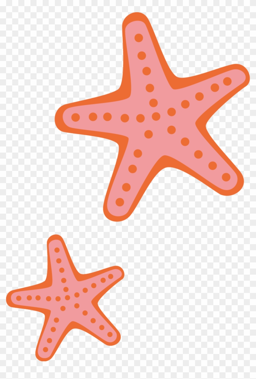 Starfish Cartoon - Starfish Creative - Desenho De Estrela Do Mar #673983