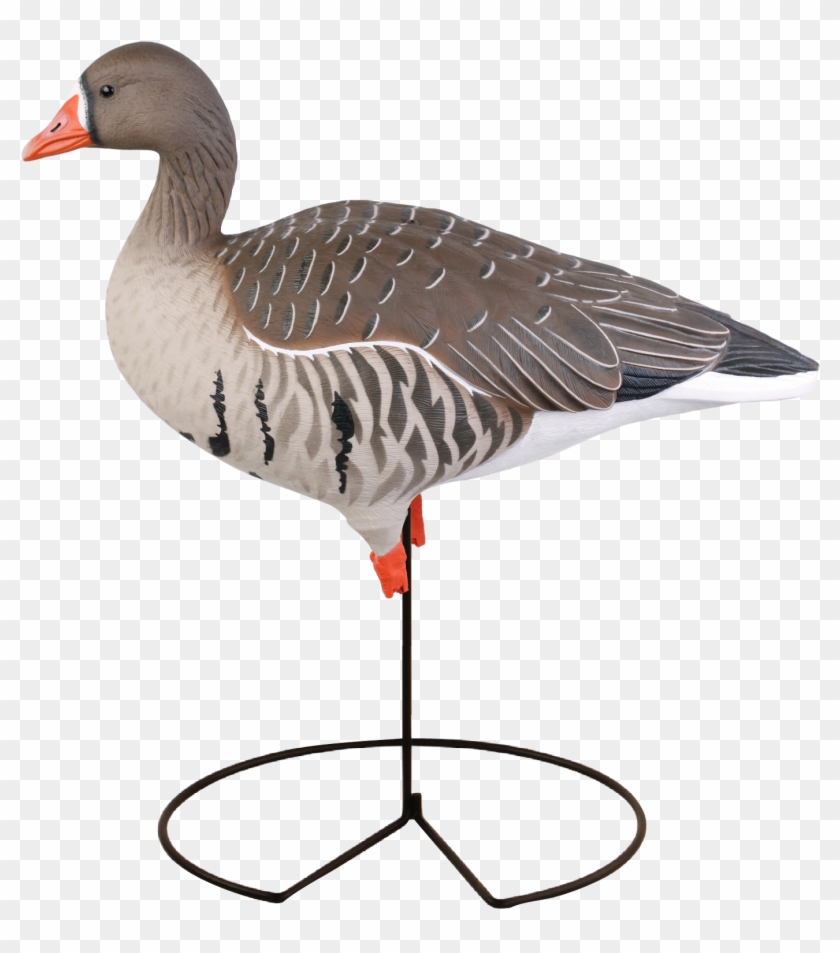 Avery Greenhead Gear Ghg Pro Fb Specklebelly Goose - Speck Products #674278