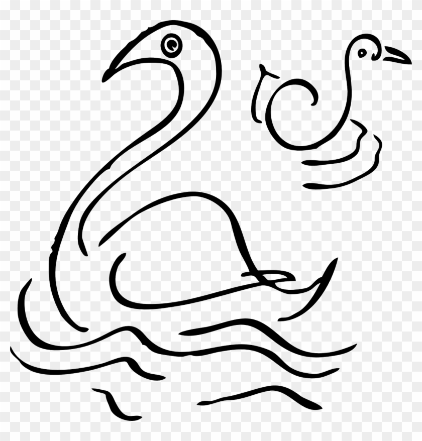 Bird Swan Goose Animal Pond Png Image - Swan Clip Art #674300