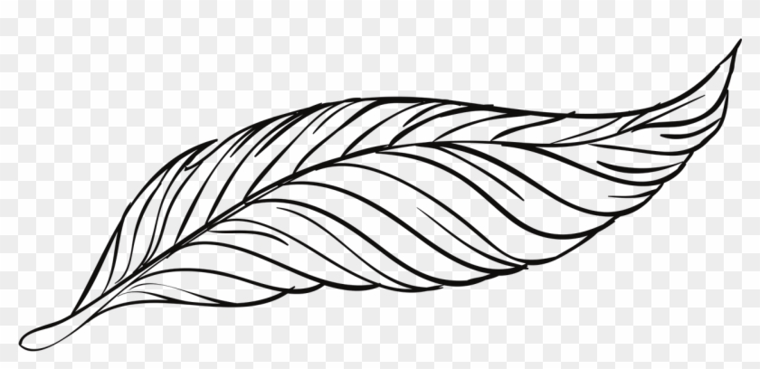 Bird Goose Feather - Feather Drawing Png #674373