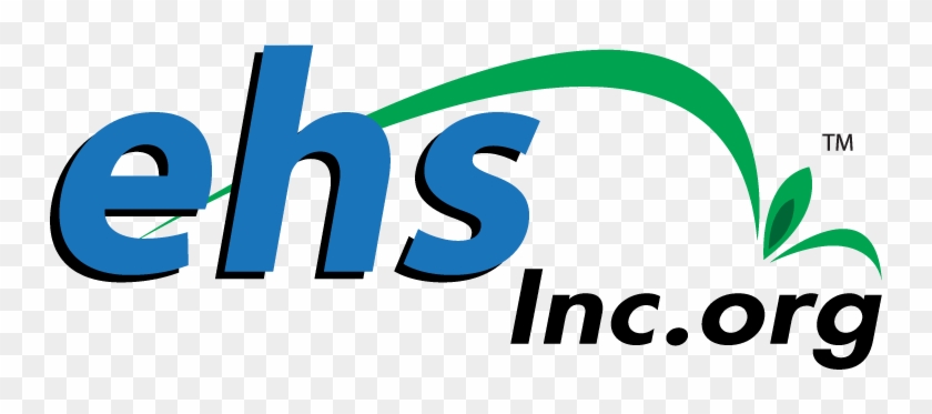 Ehs International Logo #675160