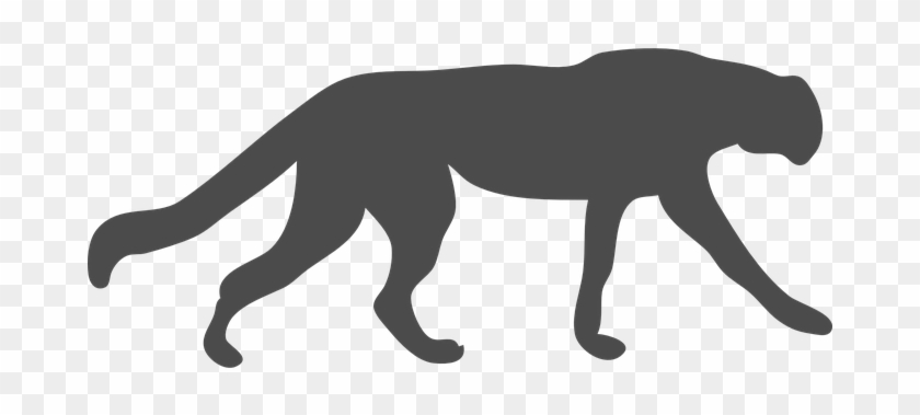 Wildcat Cougar Leopard Cheetah Animal Cat - Black Panther Animal Outline #675266