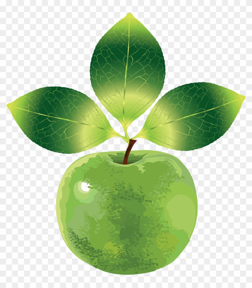 Png Elma Resimleri, Apple Png Photos, Png Yeşil Elma - Vector #675504