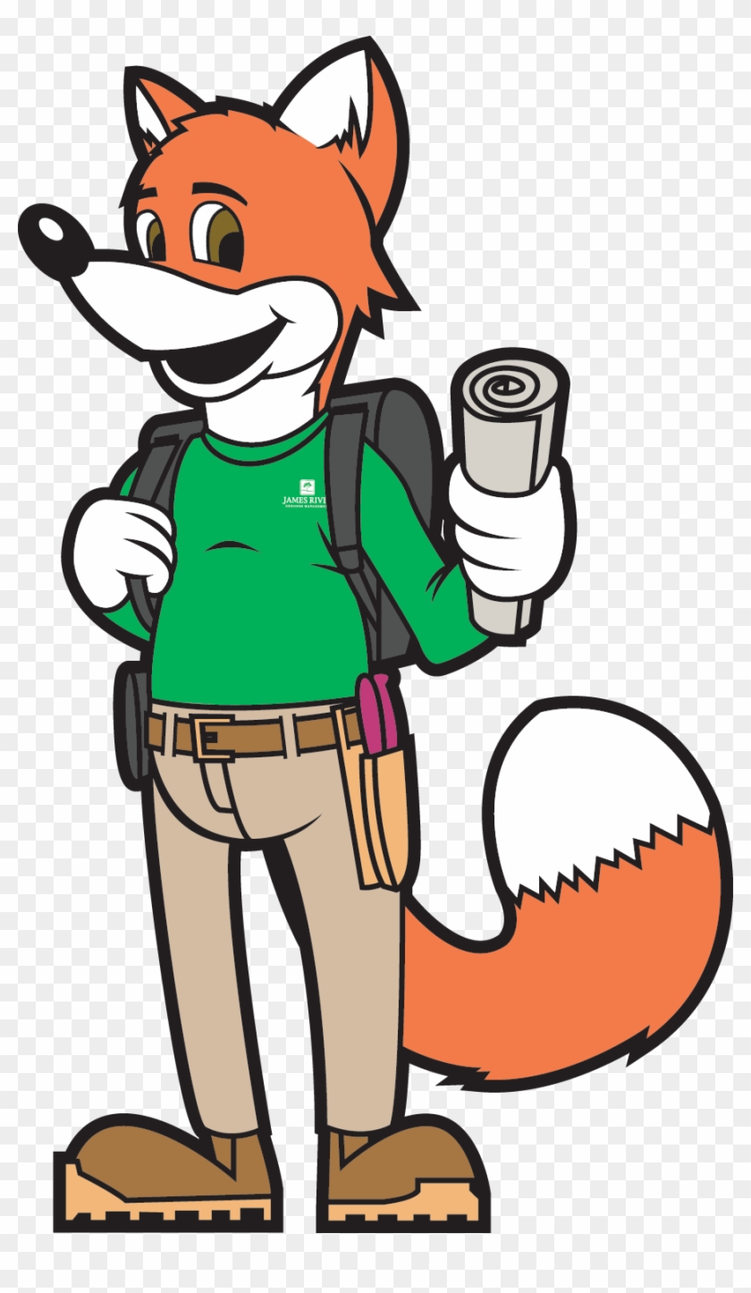Pip The Fox - James River Grounds Management #676164
