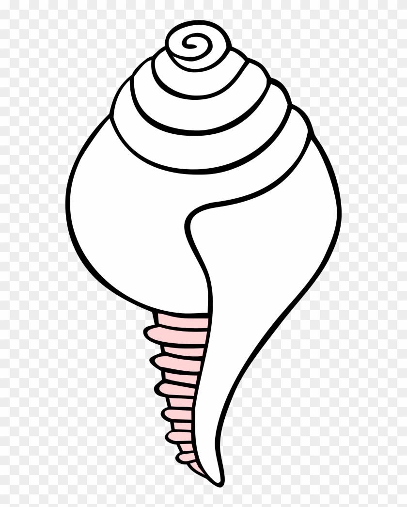 White Conch Symbol - Buddhist Symbols Conch Shell #676165