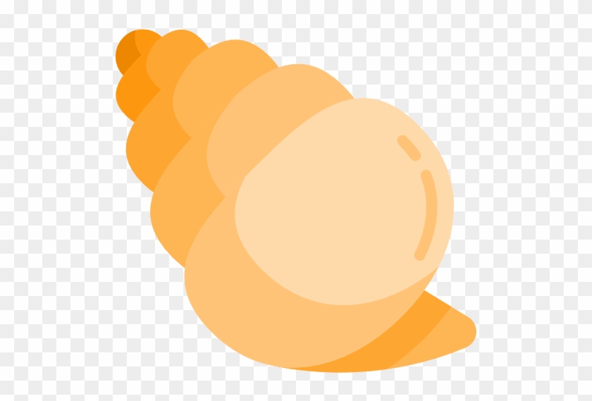 Conch Shell Free Icon - Seashell #676184