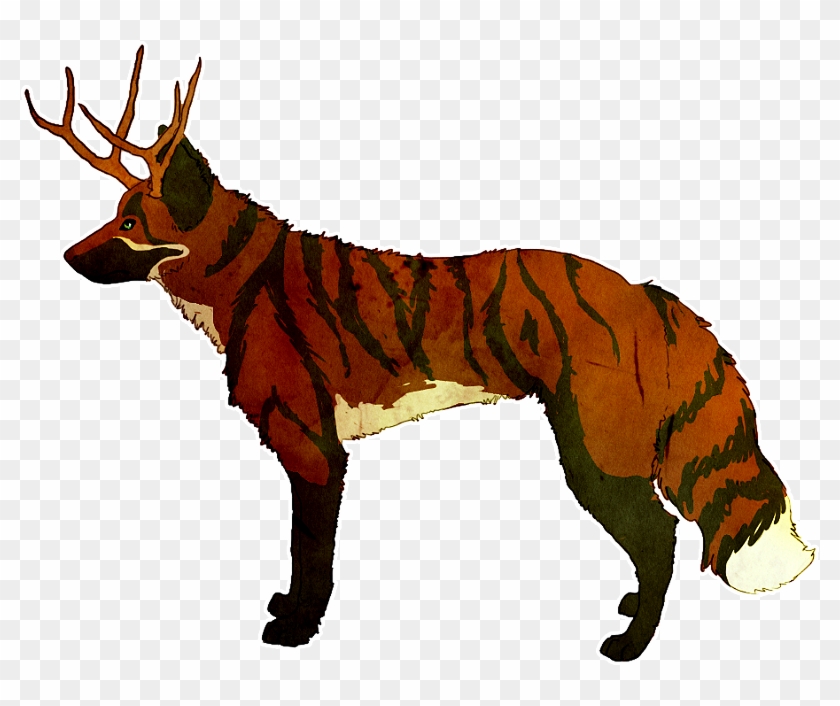 A Tiger Striped Fox Character By Chertan Koraki - Red Fox #676470
