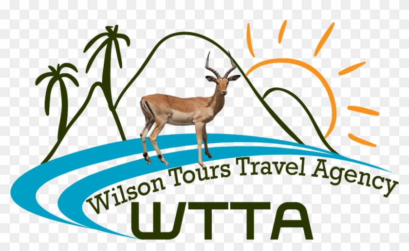 Wilson Tours Travel Agency - Travel And Tourism #677066
