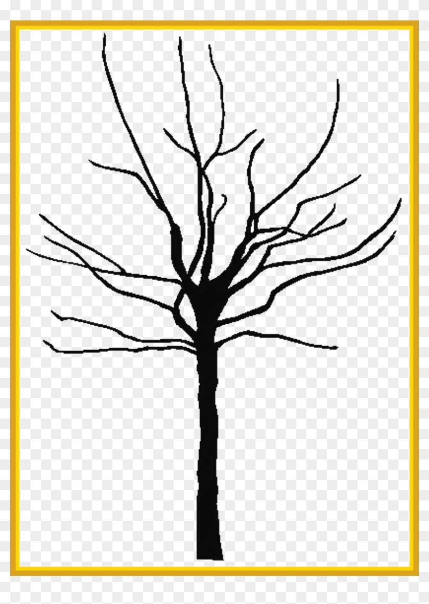 Unbelievable Bare Tree Clipart Large Projects To Try - Tree Outline Png #677434