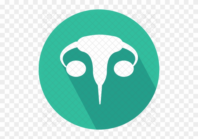 Female Icon - Female Reproductive System #677450