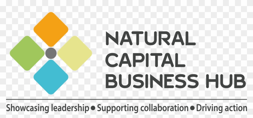 Natural Capital Business Hub Logo - Natural Capital Coalition #677717