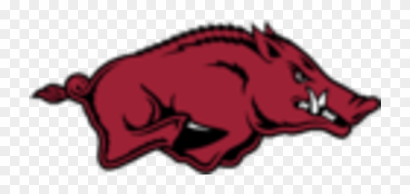 University Of Arkansas Razorbacks #677900