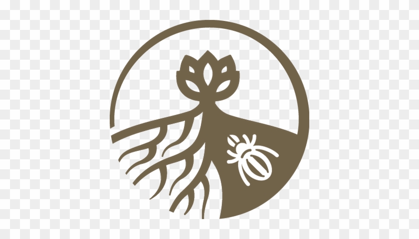 Soil Ecology Society - Illustration #678039