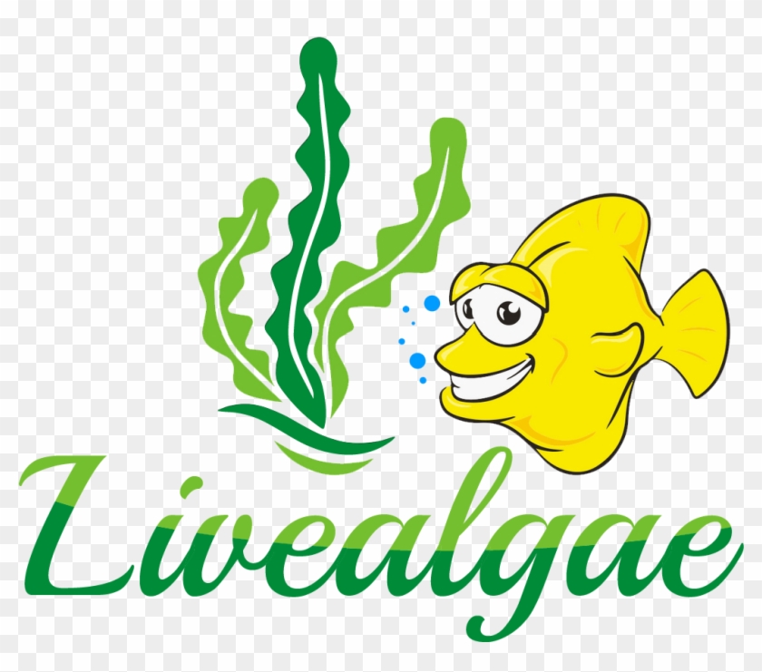 Subscribe & Win - Seaweed #678065