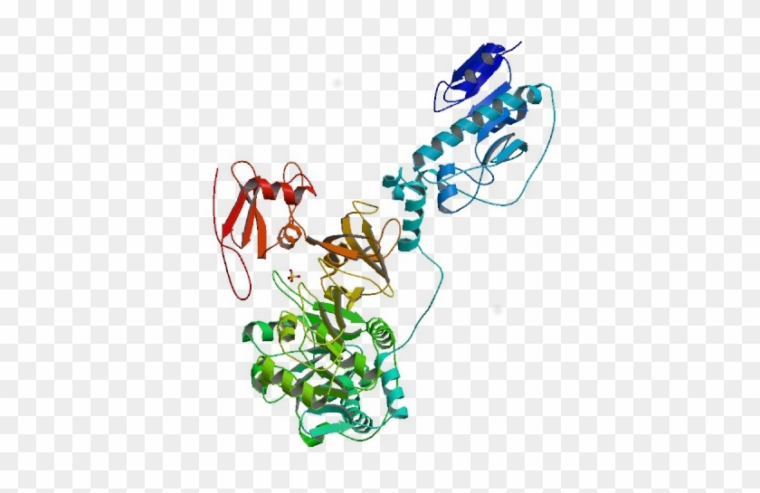 Improving Antibiotics Image - Improving Antibiotics Image #678090