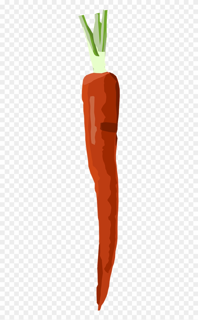 Vector Graphics,free Illustrations - Carrot #678375