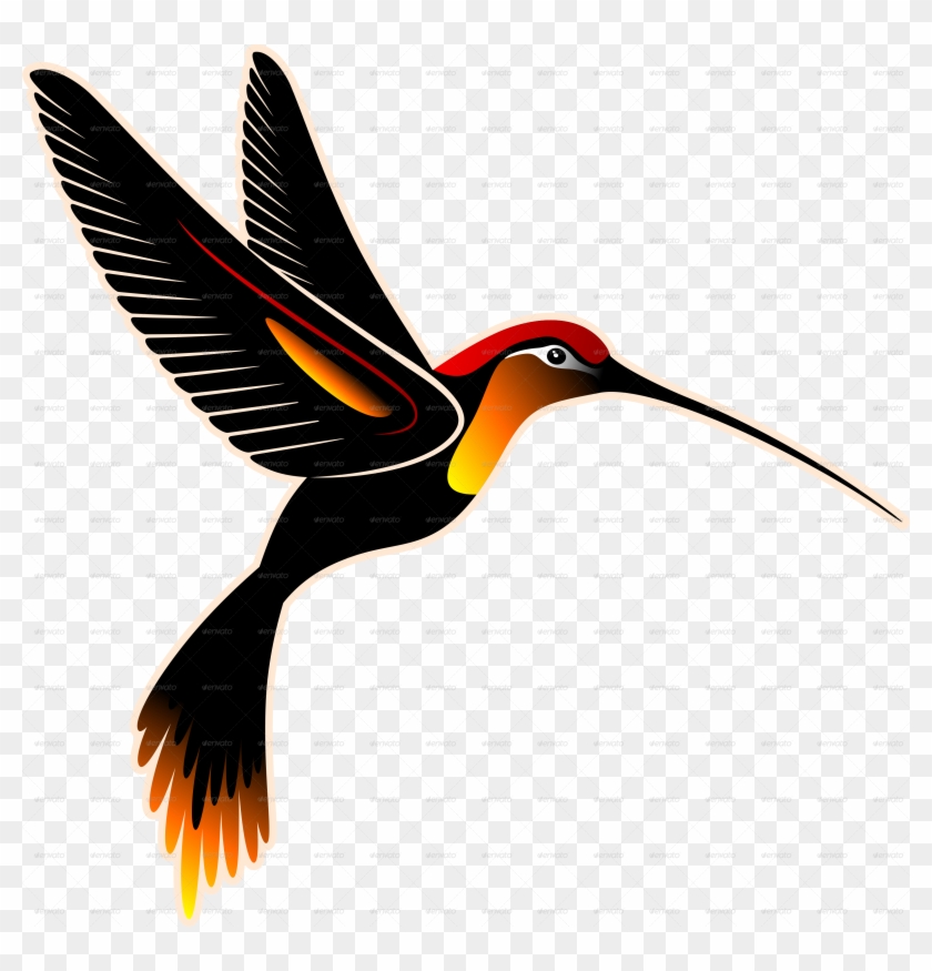 Orange Hummingbird-png - Graffiti #678461