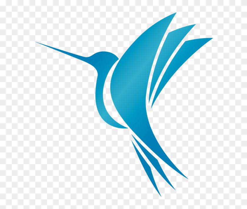 Blue Hummingbird Coffee - Tarrazú #678548