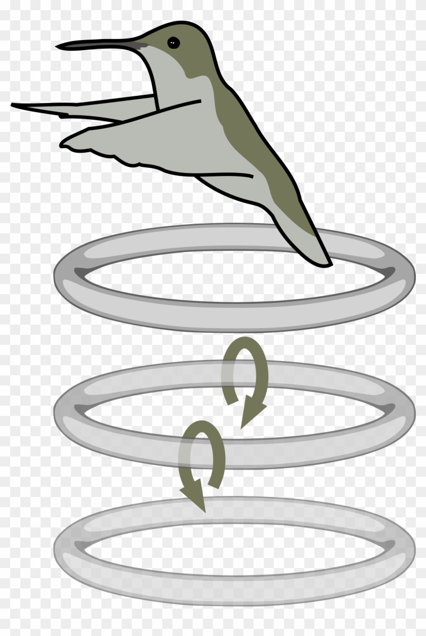 Open - Hummingbird Flaps Diagram #678570